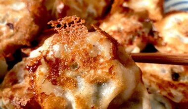 Made steam fry gyozas