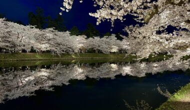 Hirosaki Park Sakura Matsuri