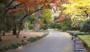Take a seat in Tokyo