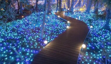 Enoshima illuminations in Japan