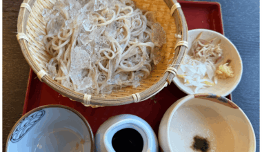 Zaru Soba (Cold Soba Noodles)
