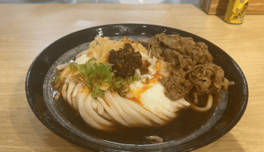 Cold Udon