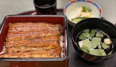 This is probably my favorite Japanese food. Eel Set