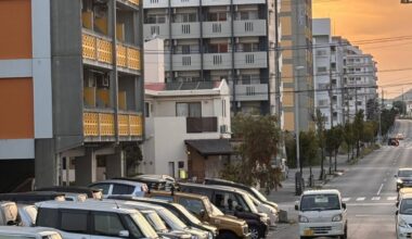 Rents soar in northern Okinawa ahead of Junglia theme park opening