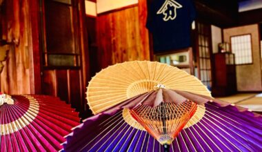 Wonderland of Japan: Exploring a Traditional Umbrella Shop with Hachi 🐶