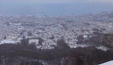 A view from atop Tenguyama, Otaru