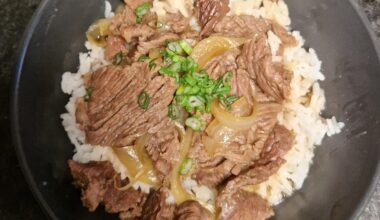 Gyudon