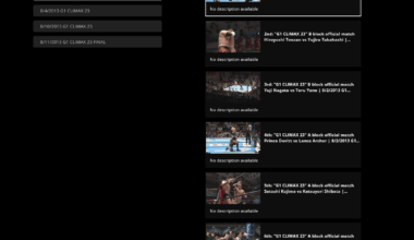 Missing G1 Climax matches and nights from 2013 and 2014