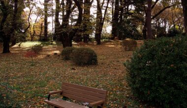 Take a seat in Tokyo