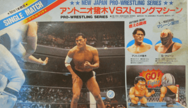 Does anybody know anything about bout the Strong Machines faction/tag team?