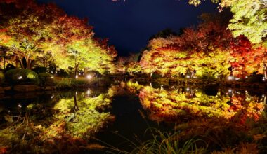 Kyoto - Toji Hyotan Ike Autumn Illumination