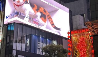 Some pictures of Shinjuku