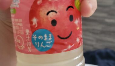 food photos from Japan so far