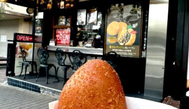 Fried curry bread at Karuizawa