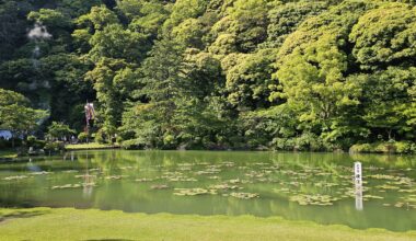 The Kaijigoku Teien Hasu no Ike in Beppu earlier today