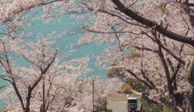 須磨浦公園 - Sumaura Park, Kōbe