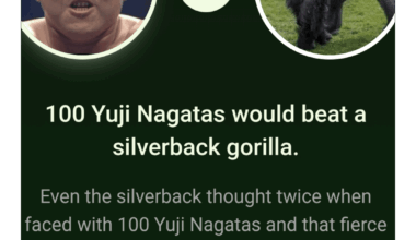 That Silverback's about to get some Blue Justice!
