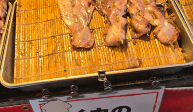 Grilled Squid on a Stick for less than $8 USD