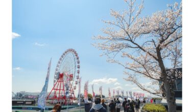 Suzuka F1