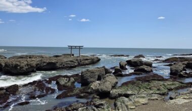 Some photos I took in late April