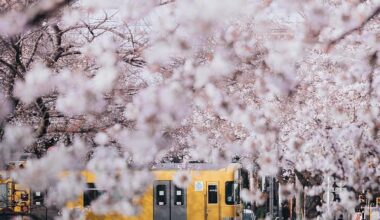 Tokyo streets
