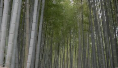 Kyoto