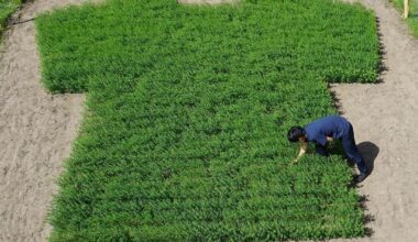 Takahiro Hasegawa’s Ode to Linen in ‘One Field, One T-shirt’