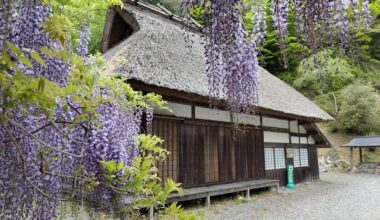Japan is so beautiful