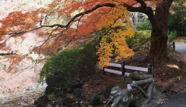 Take a seat in Tokyo