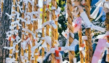 my japan travel last april