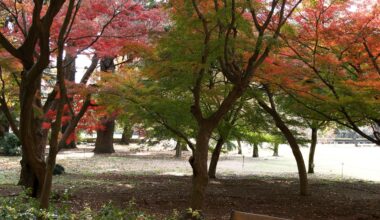 Take a seat in Tokyo
