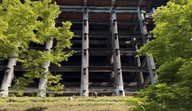 The Timeless Elegance of Timber: From Kiyomizu-dera to Expo 2025 Osaka