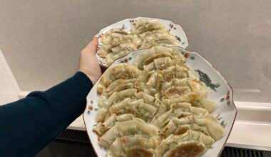 Homemade Japanese Gyoza🥟– This is how we make it at home in Japan!