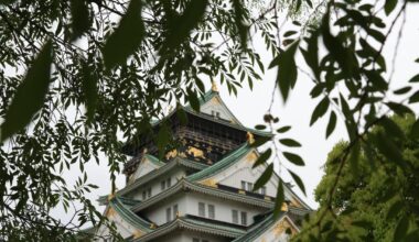 Osaka Castle and Bird