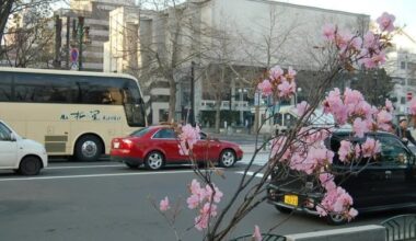 Japan in the early 2000s