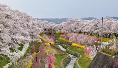 Shiroishigawa Chisakura Park