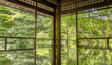 I love Japanese-maples in early summer🍀 as well as in autumn🍁②