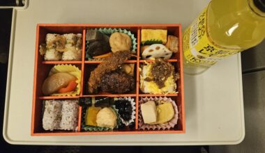 Ekiben from Tokyo Station
