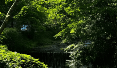 Kyoto is beautiful
