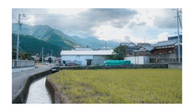 Rural Ehime