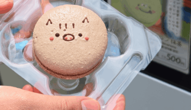 A giant macaroon from a vending machine at the Osaka World Fair Park for less than $5 USD