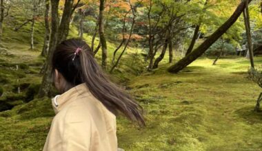 Dreaming of autumn in Japan