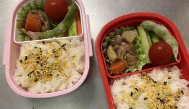 Kindergarten Obento
