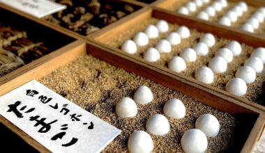 Wonderland of Japan: Today, I’ll introduce an old-fashioned Japanese grocery store🐶