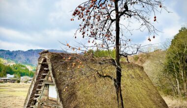 Farmhouse in Shirakawa-go