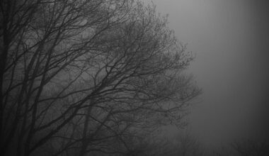 Nikko - I thought I was heading into the film set of a Japanese horror movie