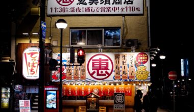 Sapporo at night