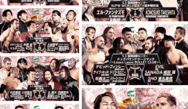 WRESTLING DONTAKU DAY 1 MATCH CARD