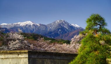 Snow-Capped Mountains Beyond Temple Gardens with Spring Blossoms and Manicured Matsu Pines