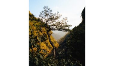 Nakatsu Gorge